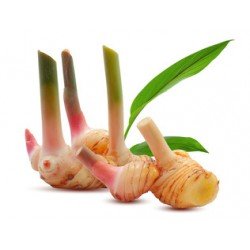 Thai Ginger (200 g)