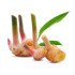 Thai Ginger (200 g) Thai Ginger (200 g)