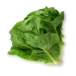 Lettuce - Romaine 1Pc (approx. 250 g)